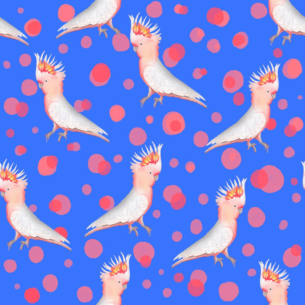 Flamin' Galahs (blue) by Deb McNaughton